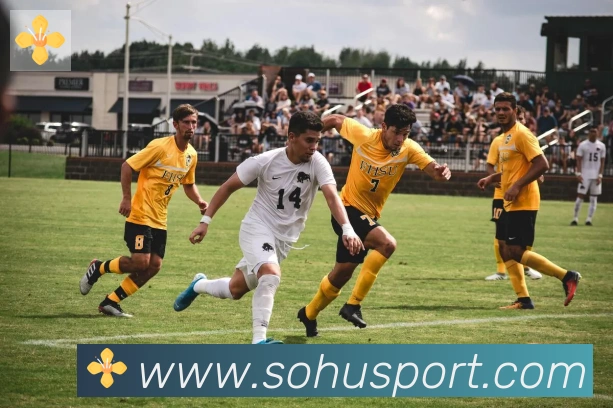 搜狐体育服务体系