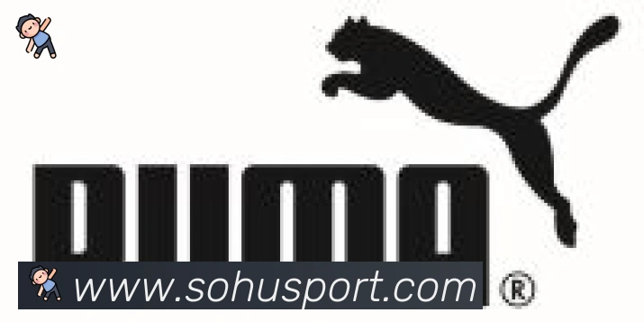 搜狐体育合作伙伴