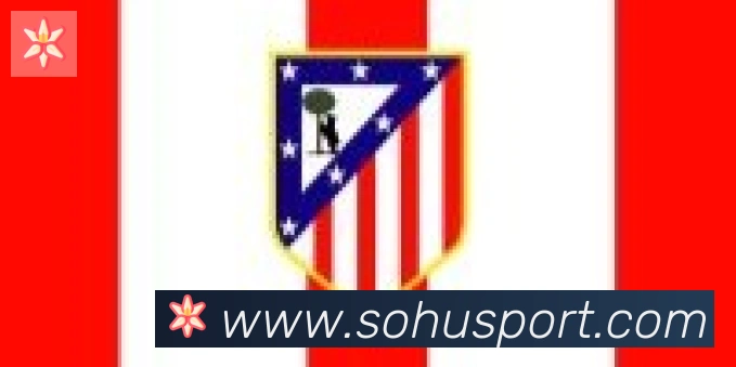 搜狐体育合作伙伴